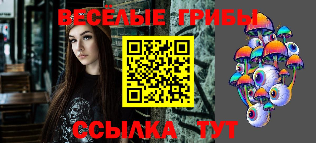 Псилоцибиновые грибы мицелий  Псилоцибиновые грибы Psilocybine cubensis  Псков  Вход с VPN 