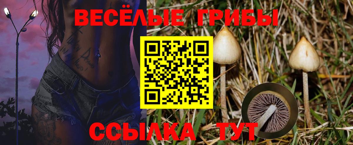 Псилоцибиновые грибы Magic Shrooms Псков